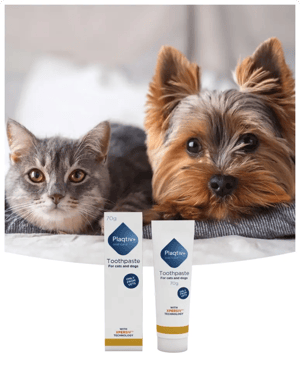 Plaqtiv_Toothpaste