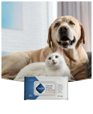 plaqtiv_dental_wipes