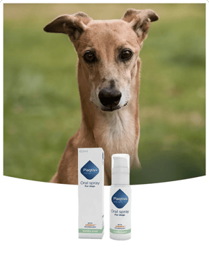 plaqtiv_oral_spray