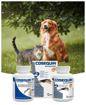 cosequin