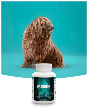 dasuquin
