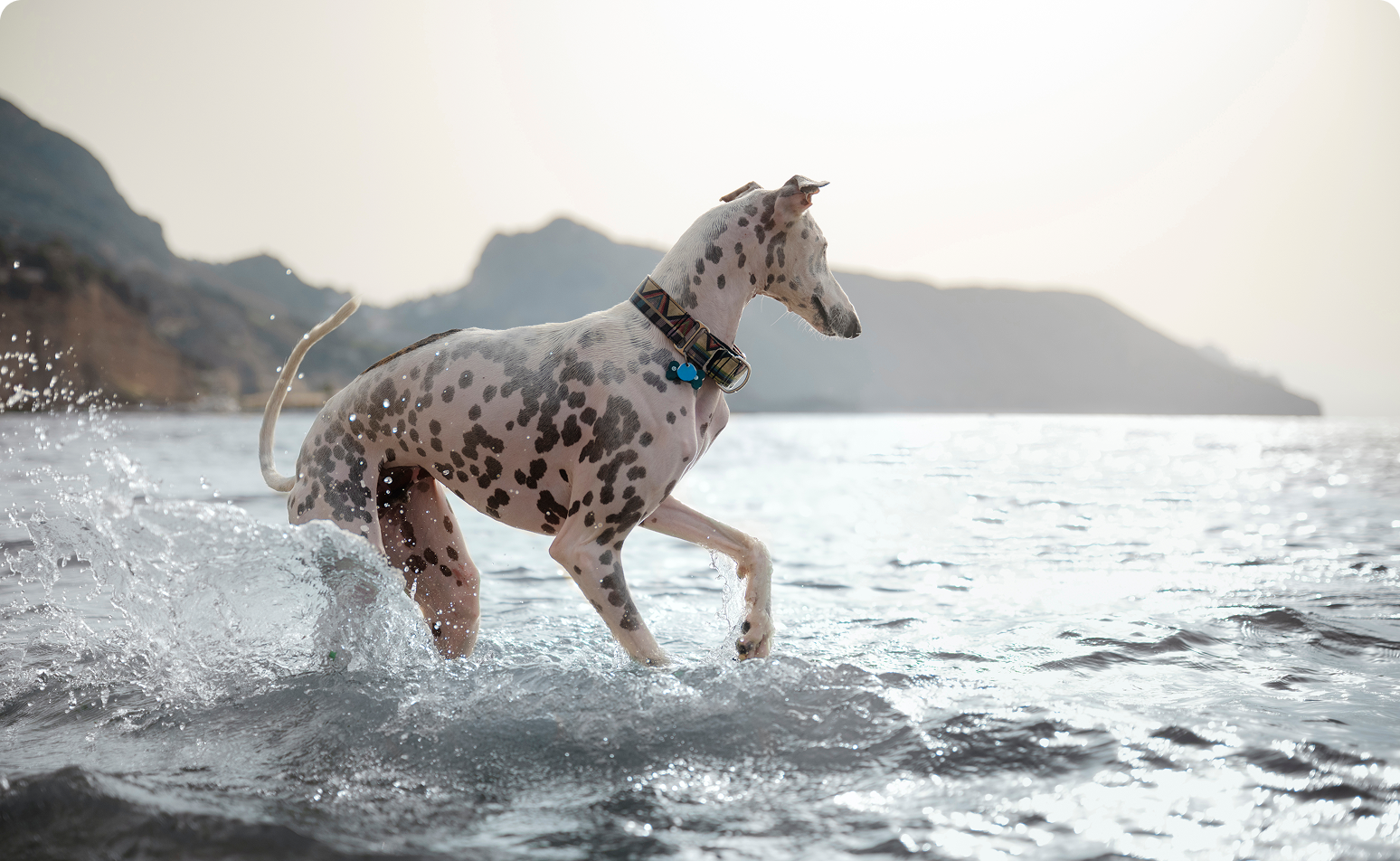 header_blogs2